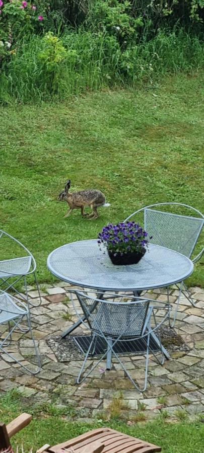 Auszeit An Der Nordsee Apartamento Husum  Exterior foto